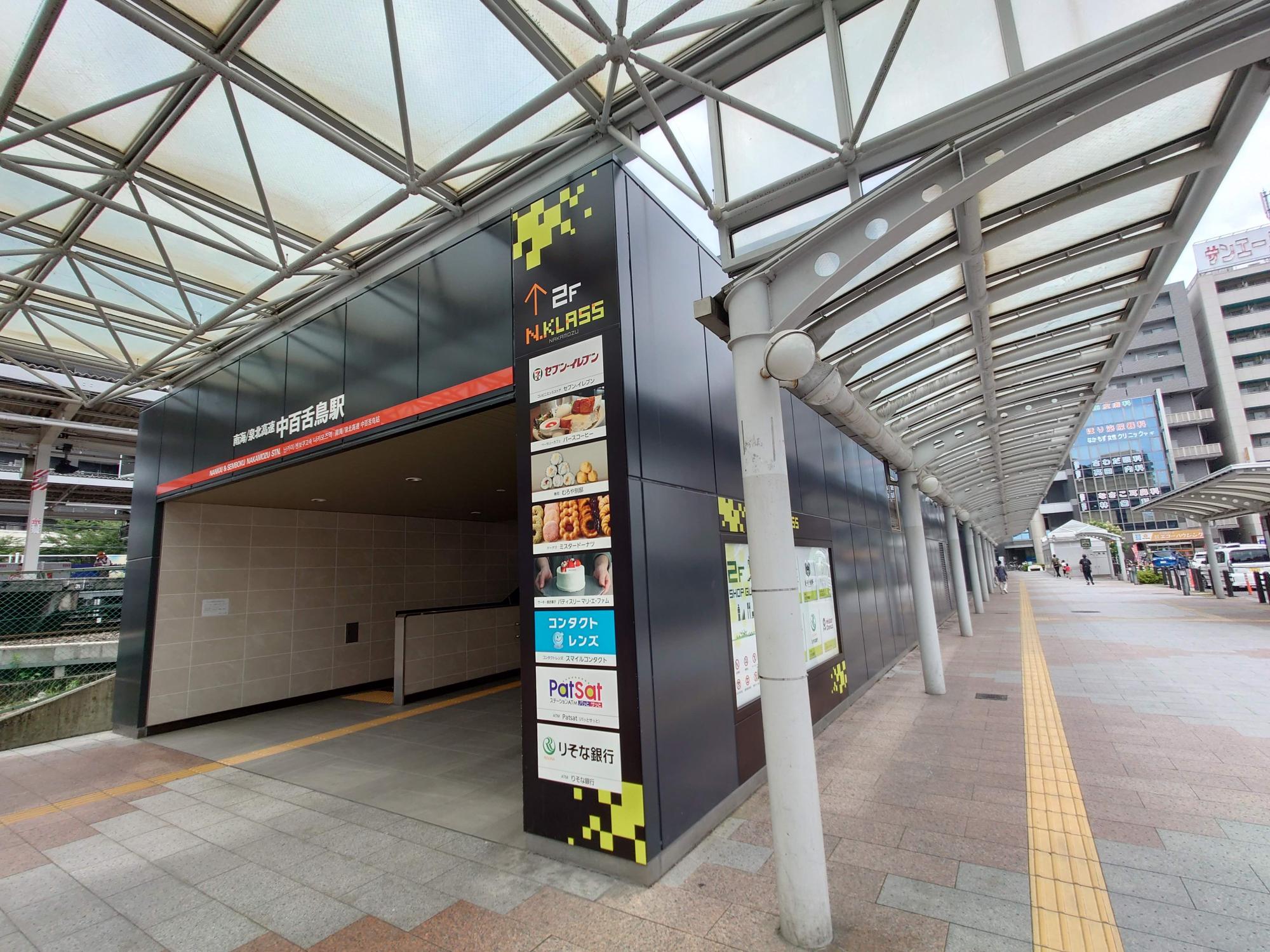 2024年6月下旬撮影