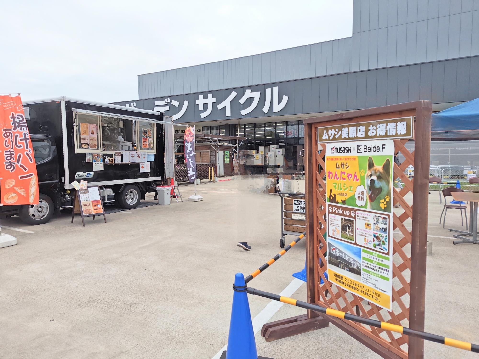 2025年6月7日撮影