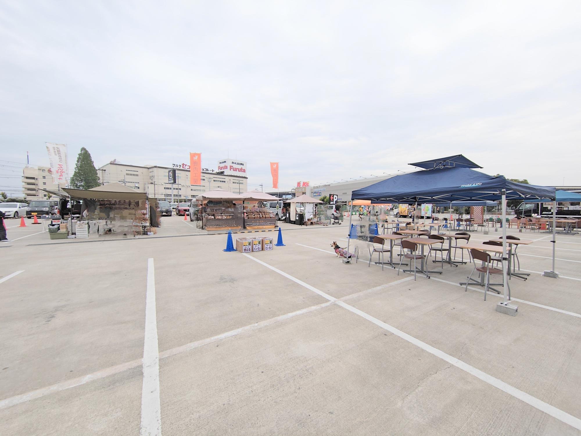 2025年6月7日撮影