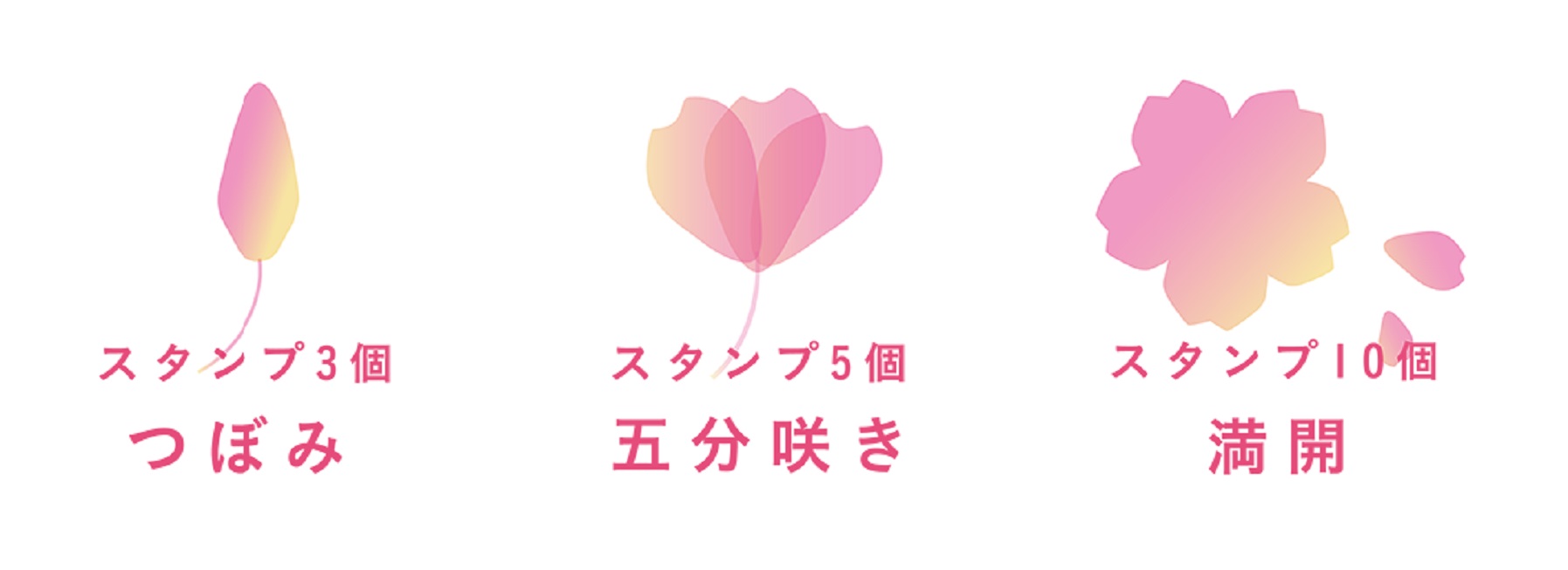 「花咲くRally」公式サイトより