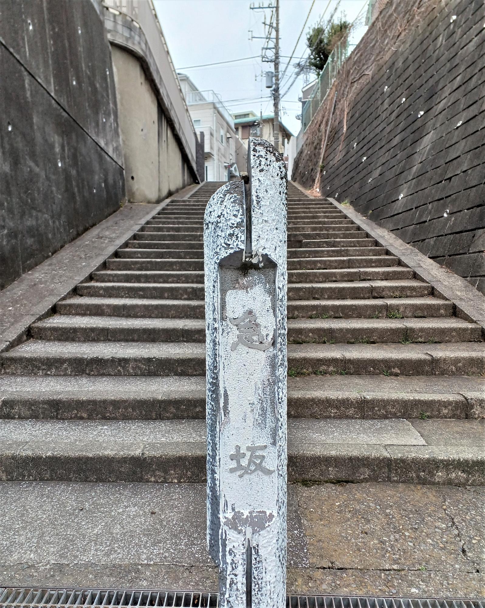 横浜市西区東ケ丘