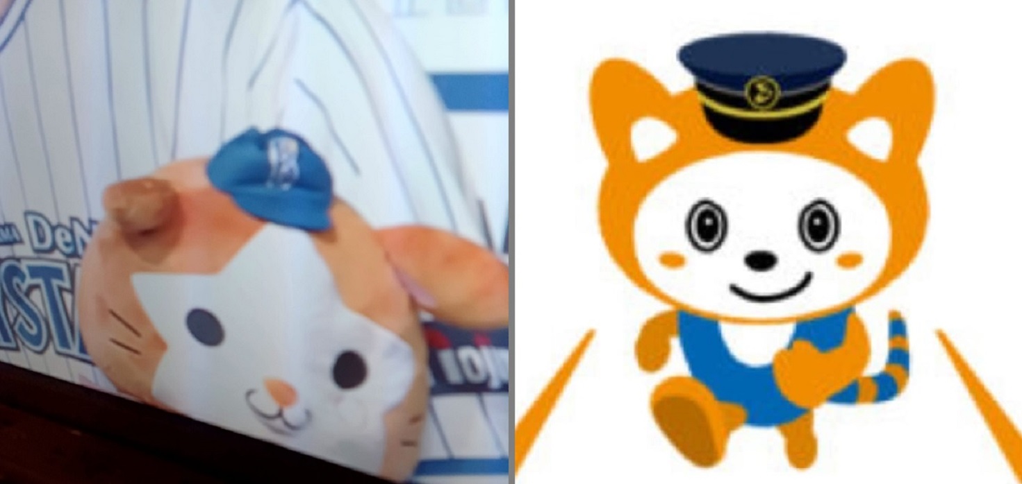 左：野球中継のヒーローインタビューに映った「DB.スターマン」。右：そうにゃん（相鉄ホームページより）