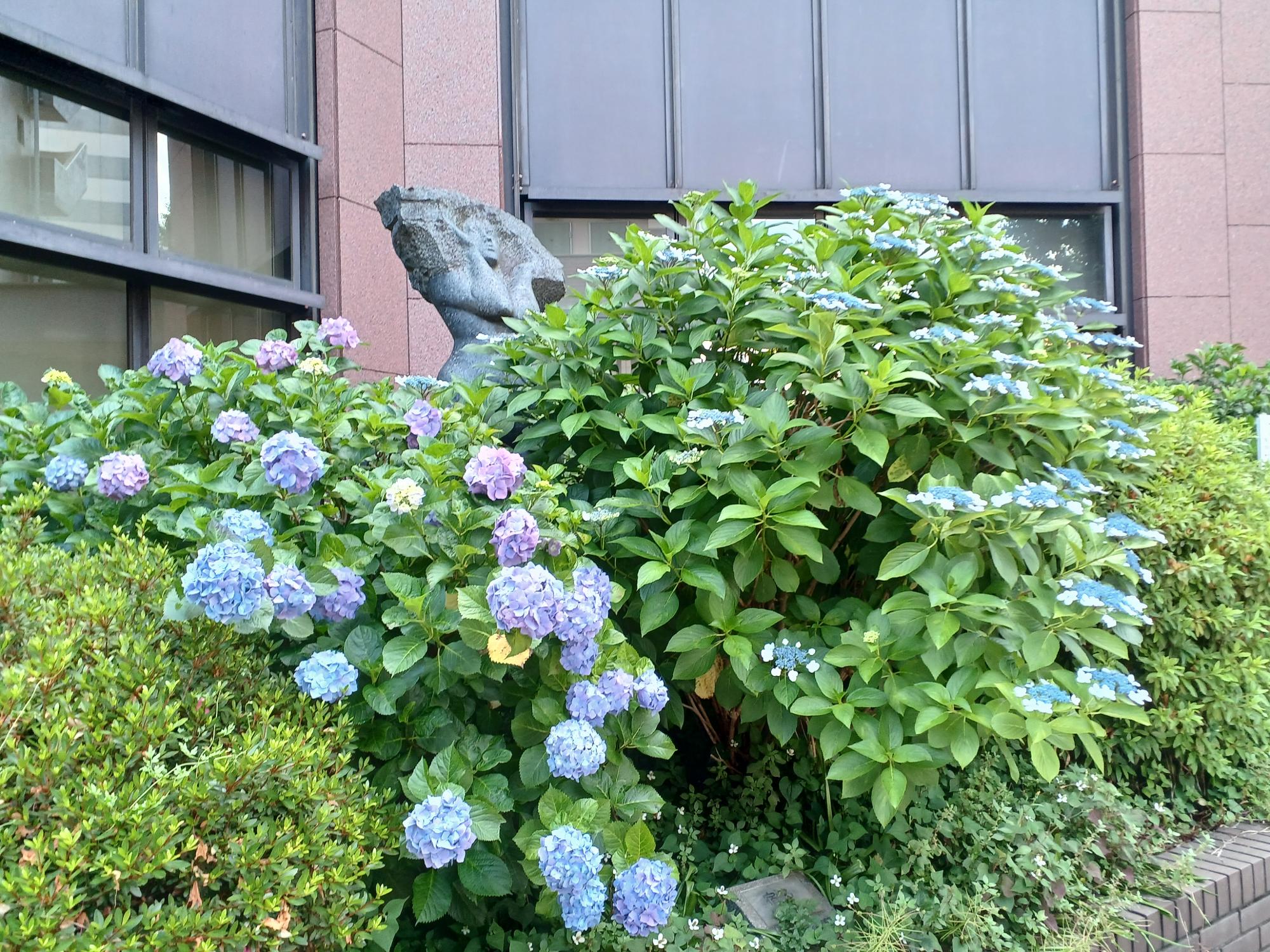 横浜市立中央図書館、2023/5/30撮影