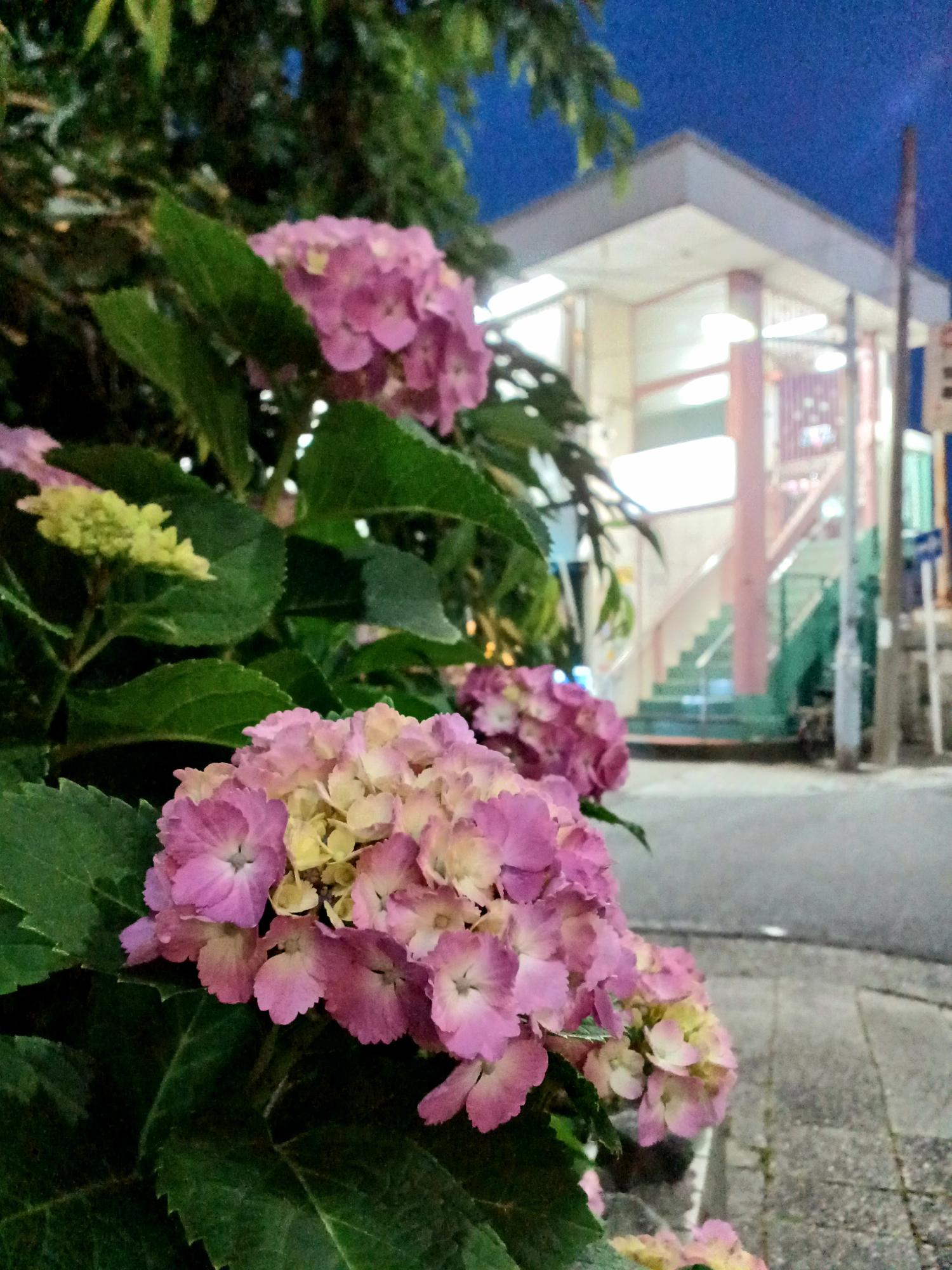 都橋商店街、2023/5/27撮影