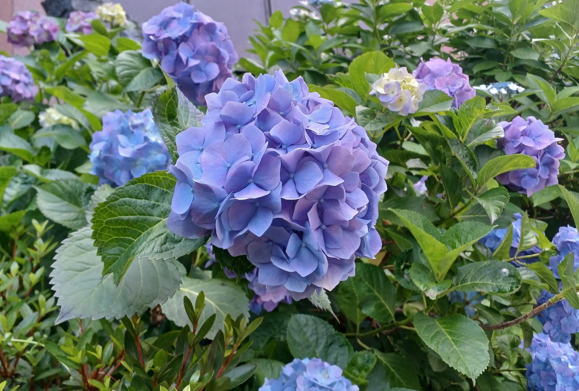 横浜市立中央図書館、2023/5/30撮影