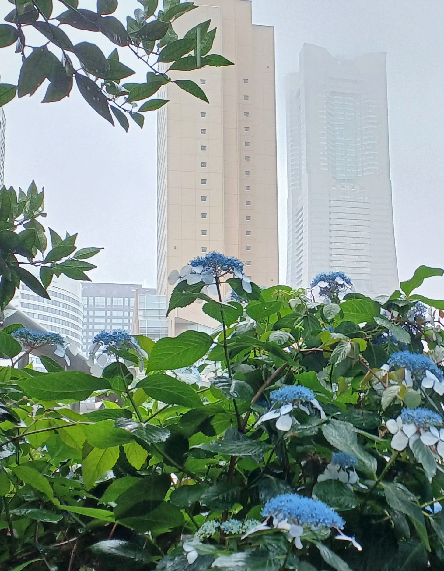 住吉橋付近、2023/6/3撮影