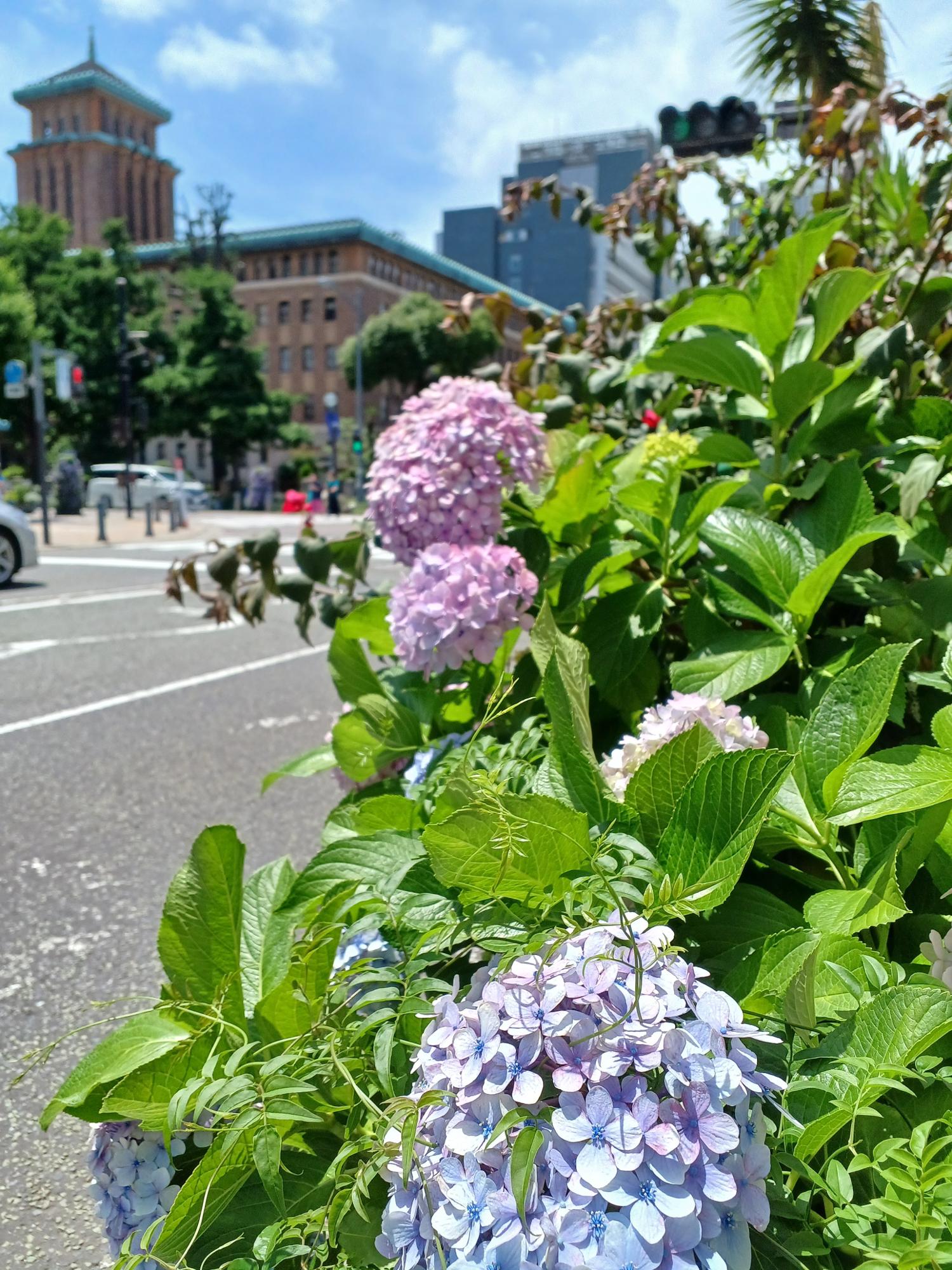 中区海岸通1丁目付近、2023/6/4撮影