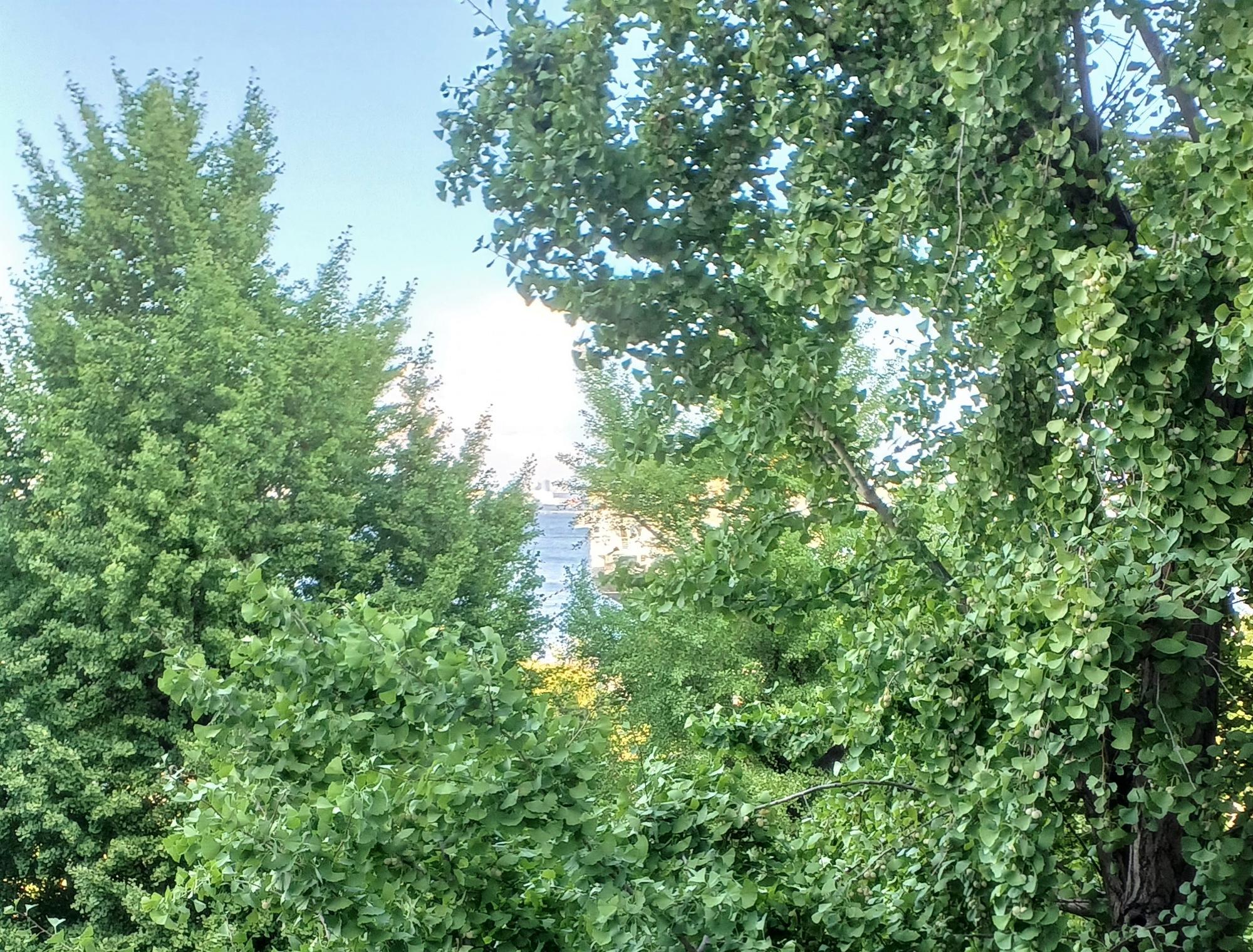 318号室の窓から