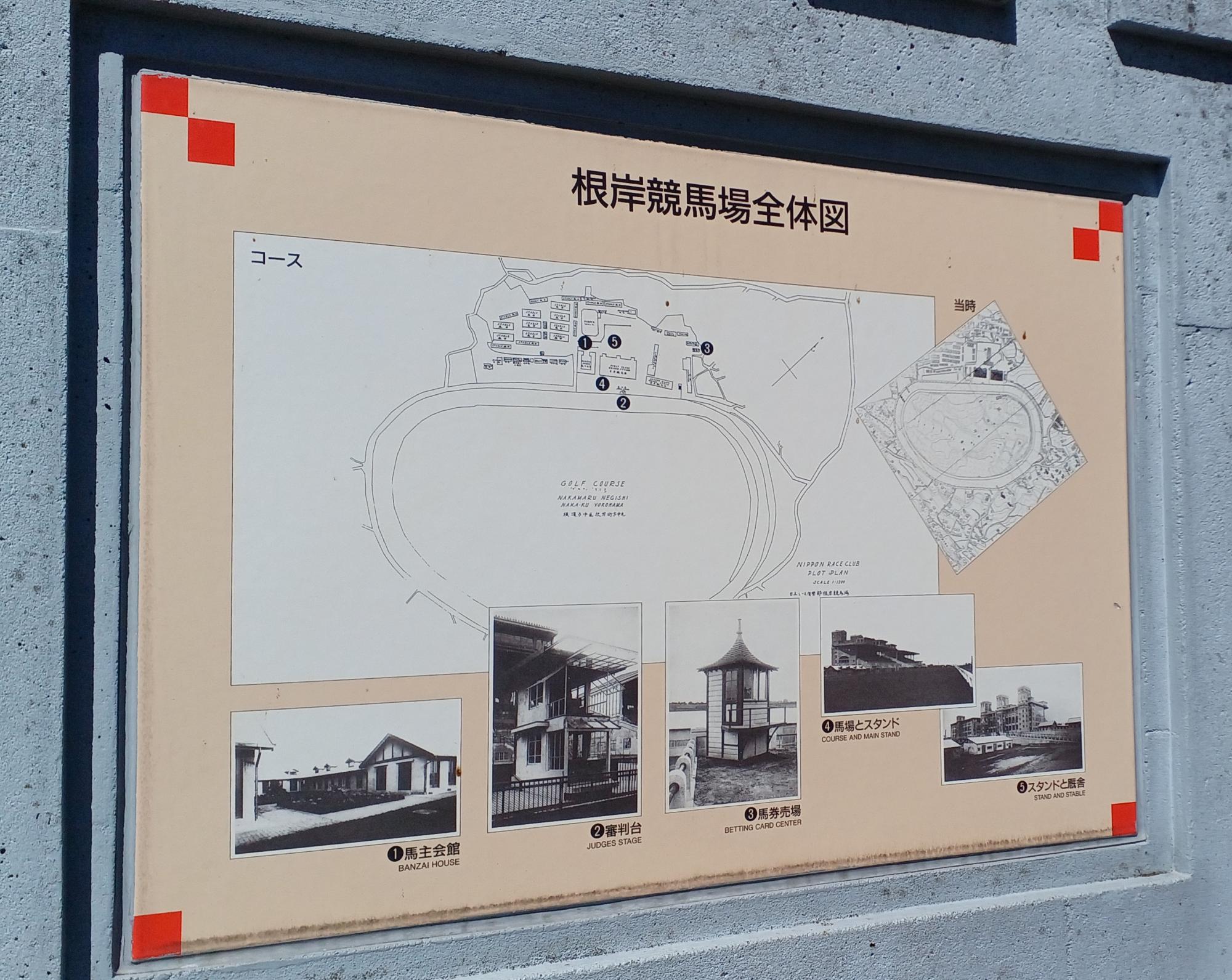 根岸森林公園