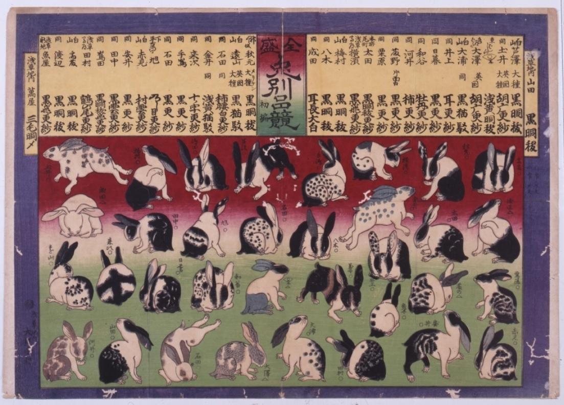 「全盛兎別品競」明治6年