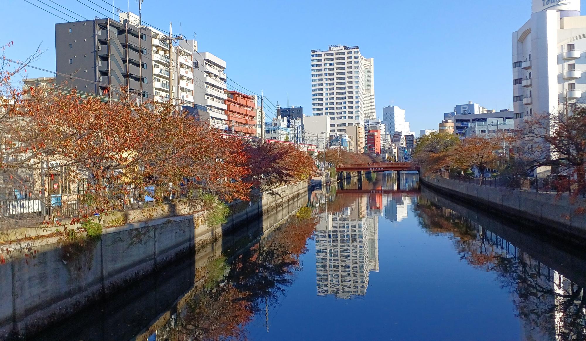大岡川 黄金町駅付近から桜木町方面を望む
