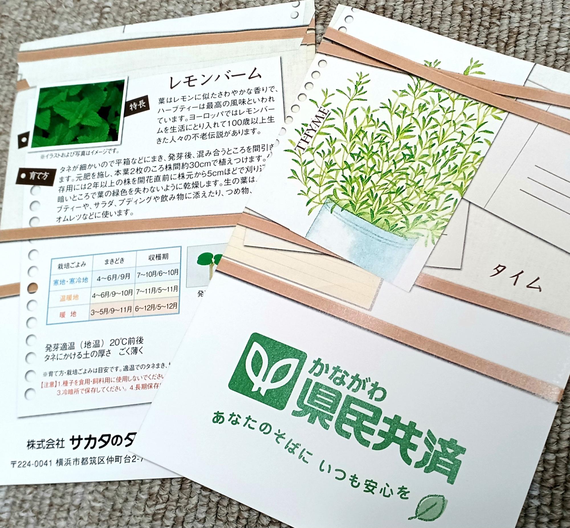 来場者プレゼントのハーブの種