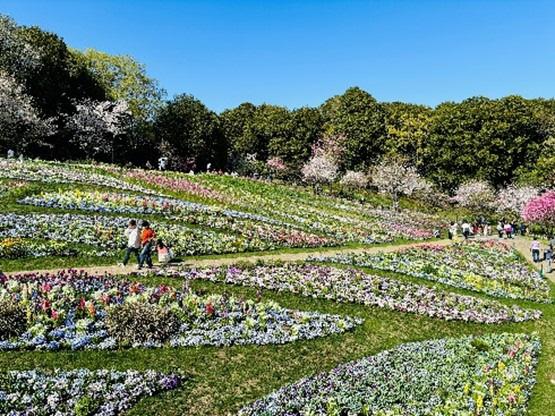 横浜市プレスリリースより