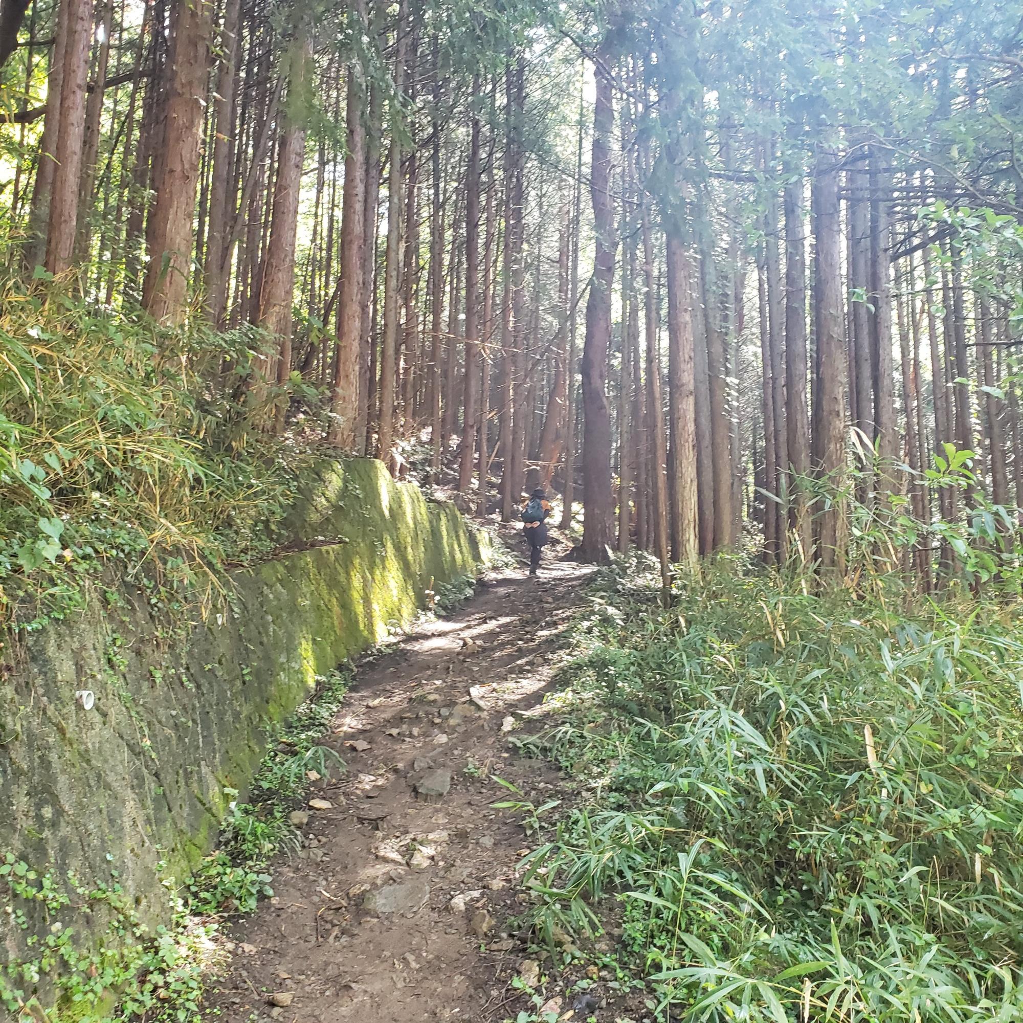 以前のてらるくの様子