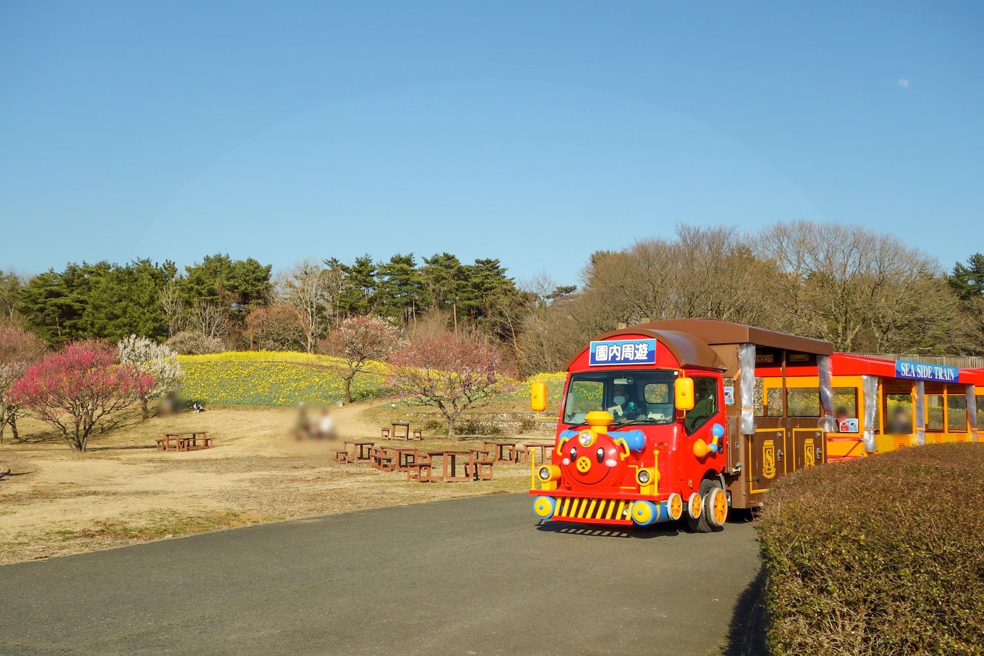 シーサイドトレイン