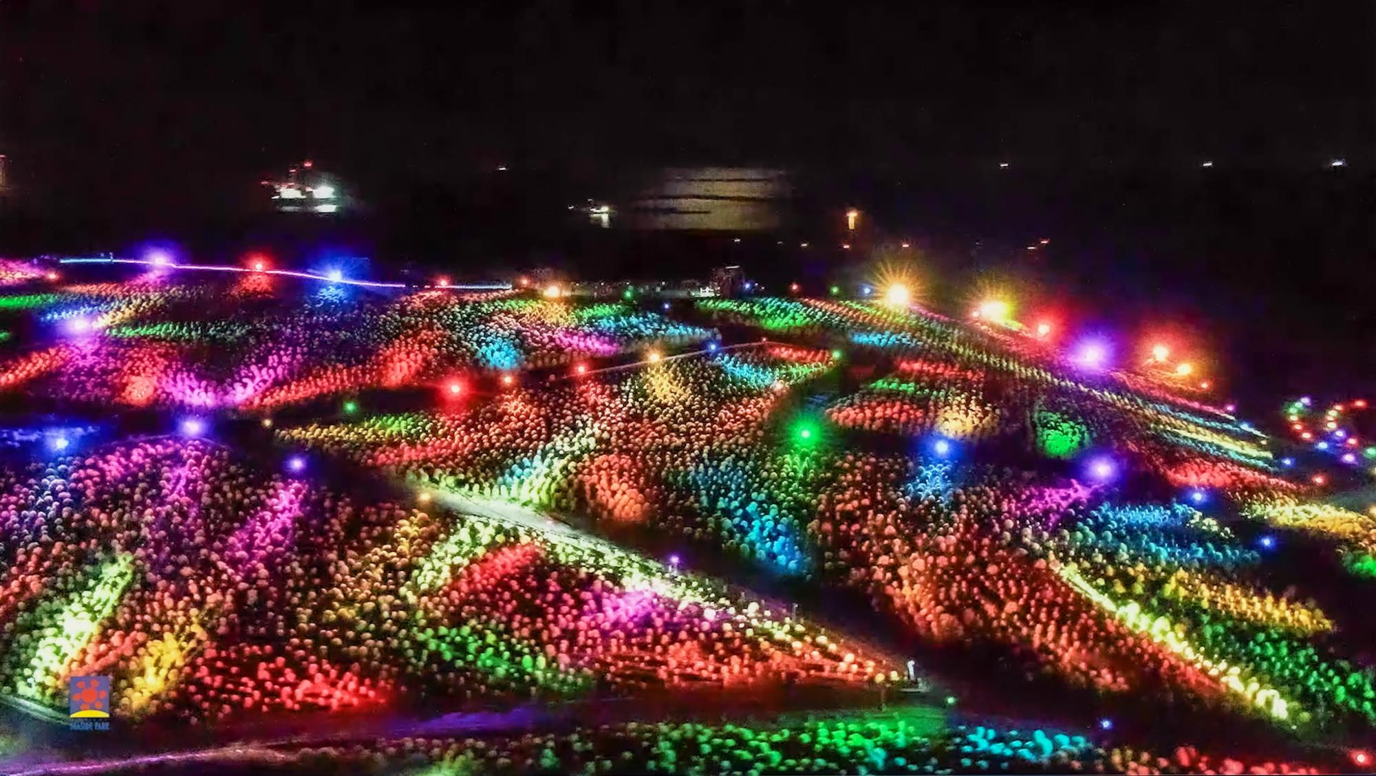 上空からみた様子（画像提供：国営ひたち海浜公園）