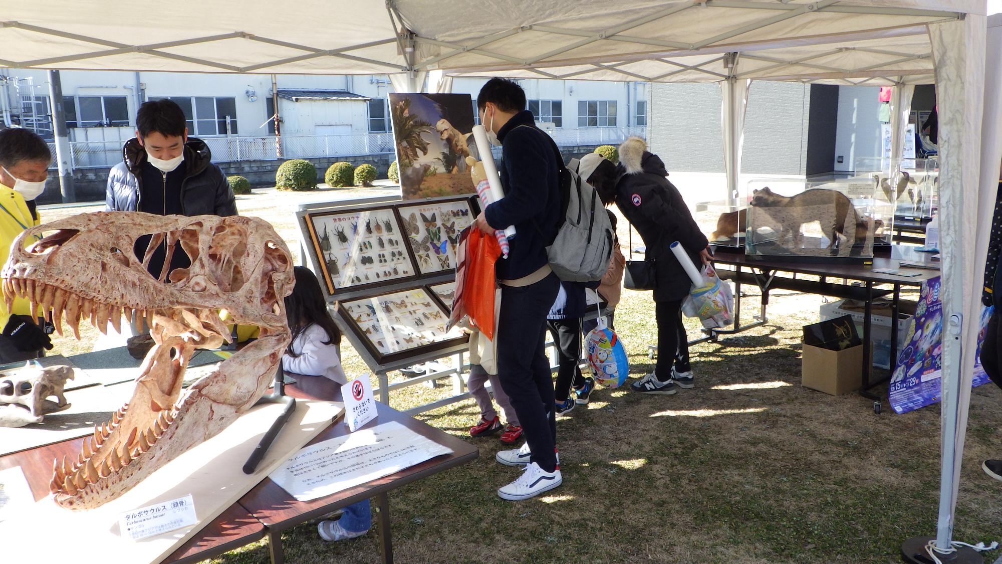 プログラムのイメージ（写真提供：国営ひたち海浜公園）