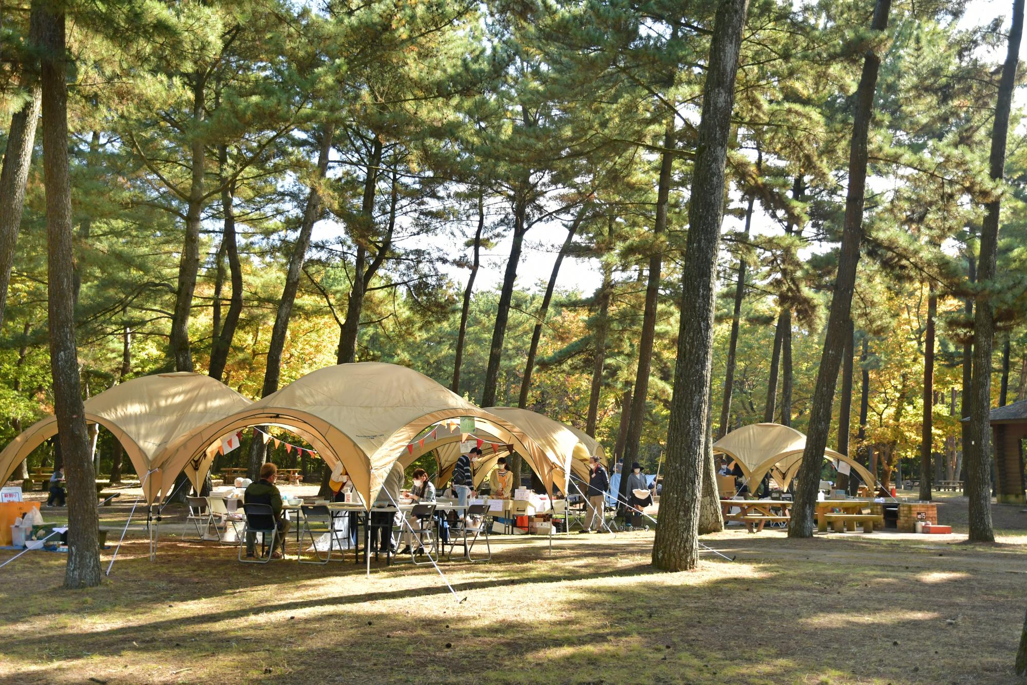 プログラムのイメージ（写真提供：国営ひたち海浜公園）