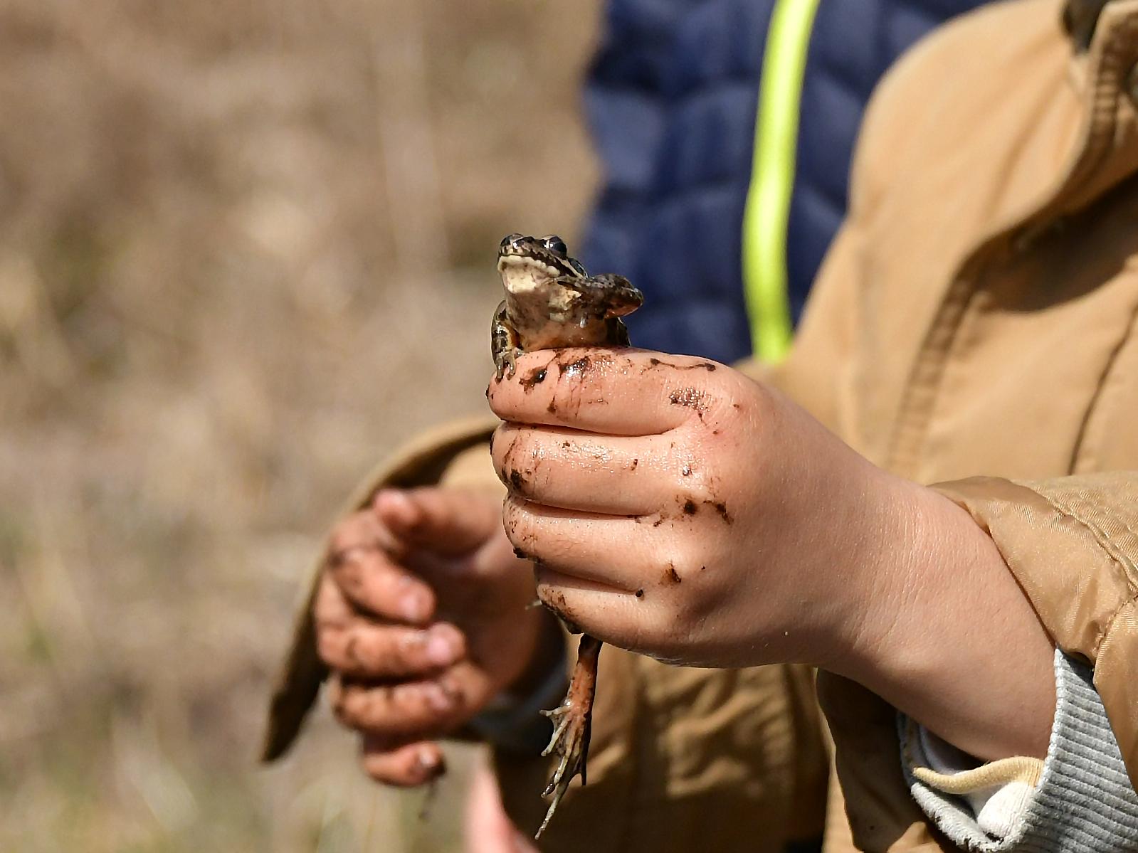 画像提供：国営ひたち海浜公園