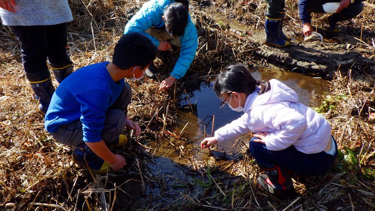 2023年開催時のようす（2023年2月12日撮影。画像提供：国営ひたち海浜公園）
