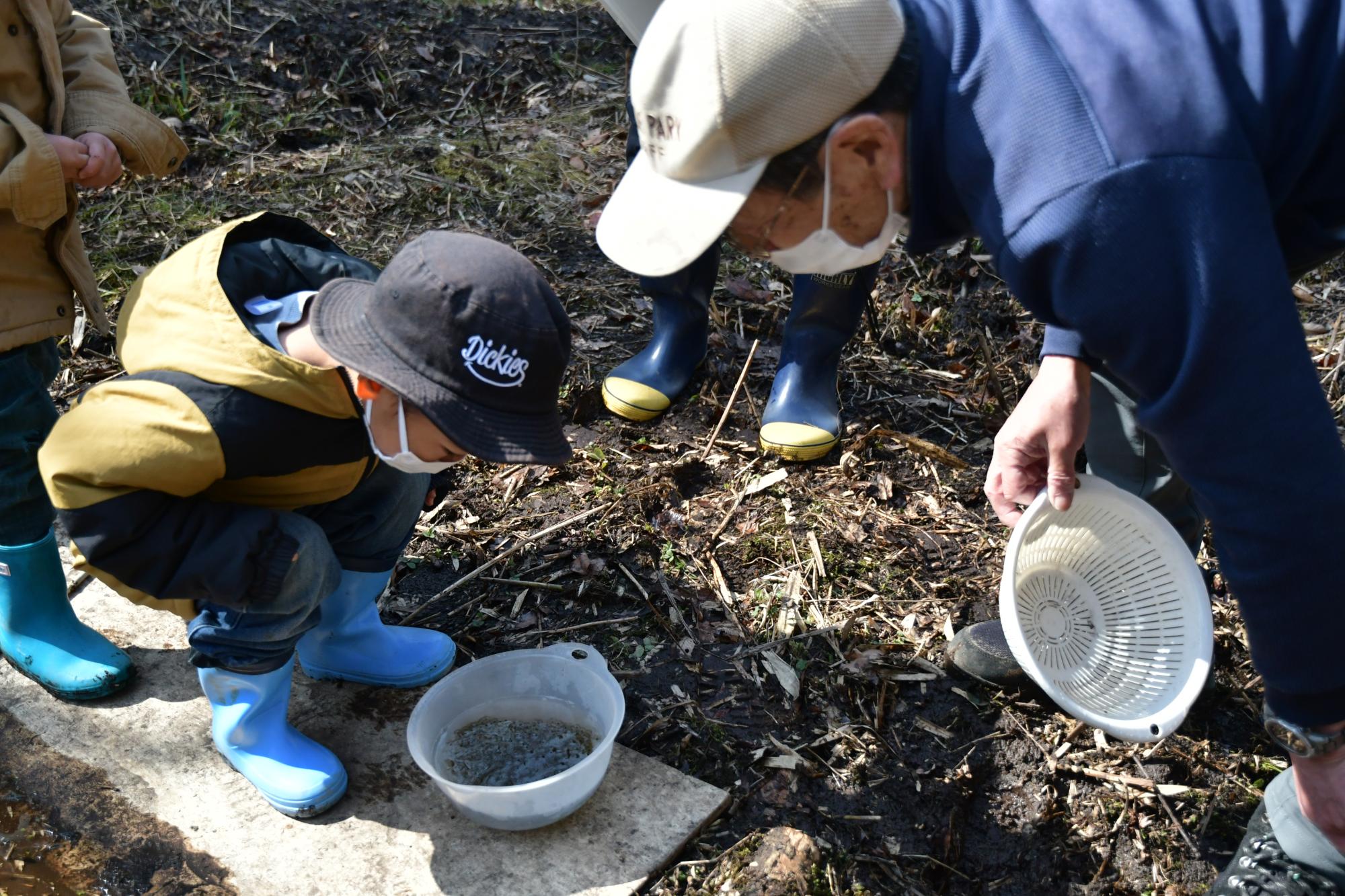 画像提供：国営ひたち海浜公園