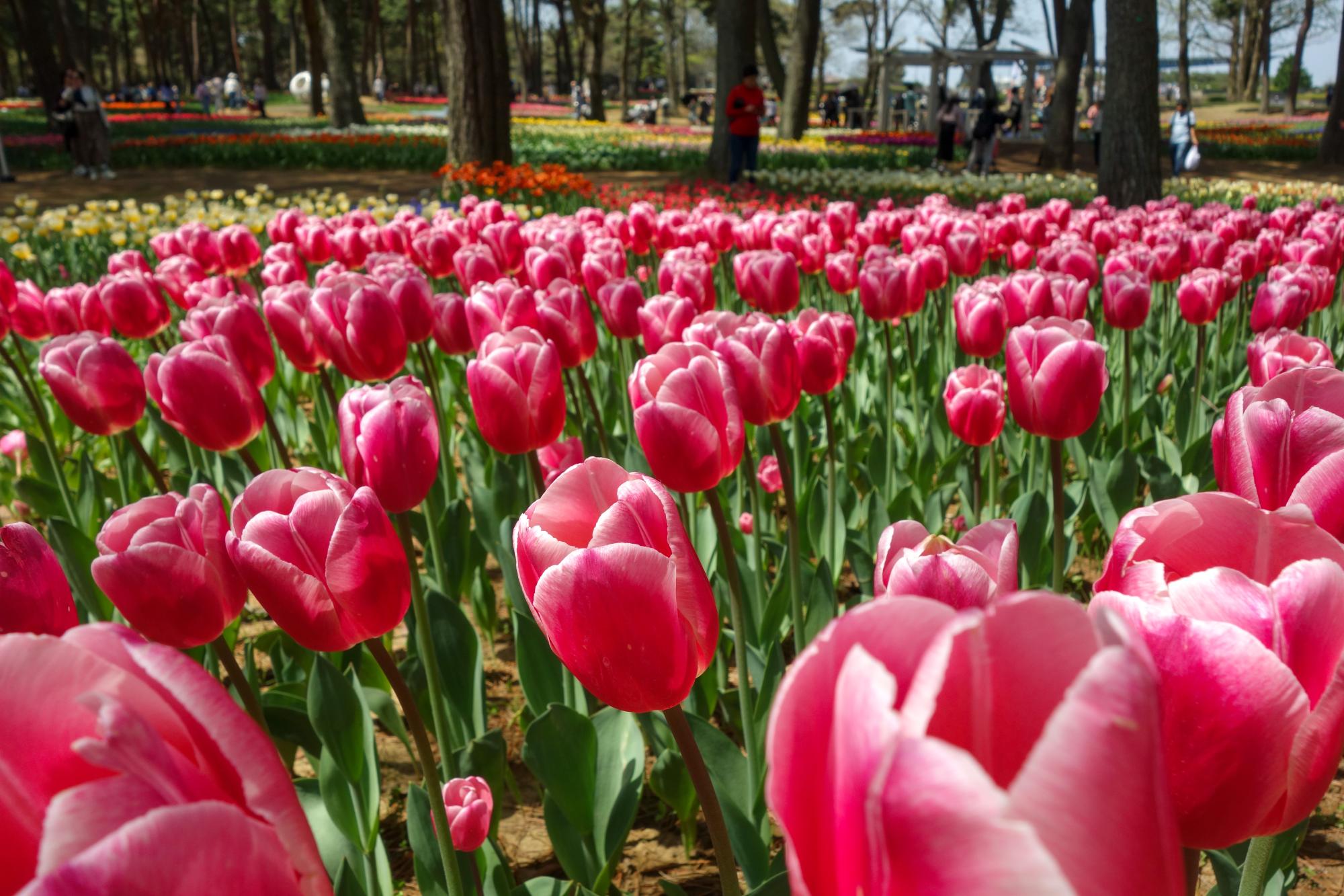 ミルクシェイク