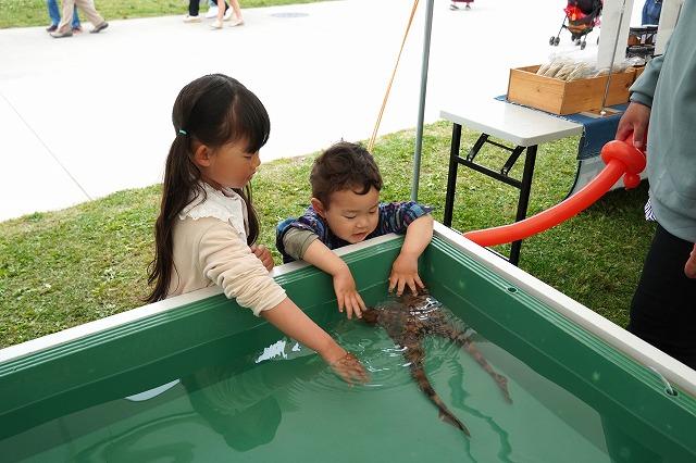 タッチングプール:2023年開催時のようす(2023年5月14日撮影。画像提供:国営ひたち海浜公園)