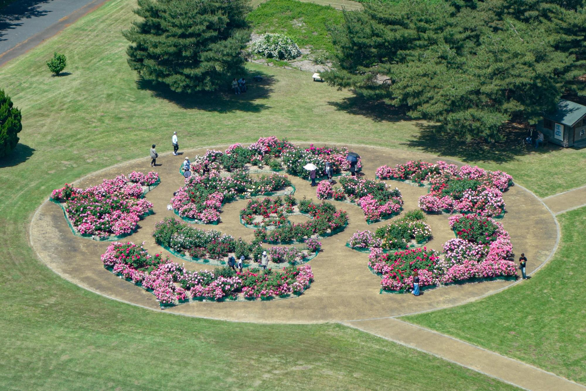 大観覧車より撮影