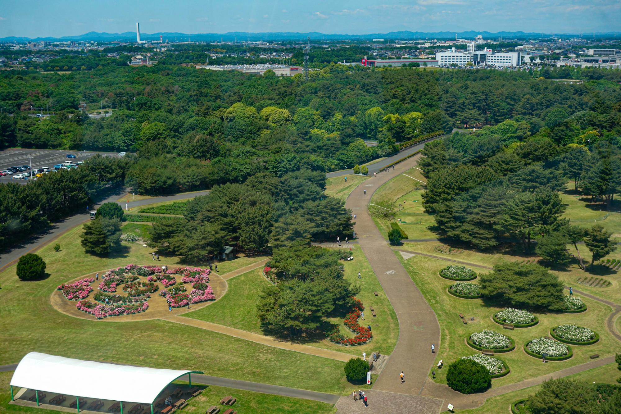 大観覧車より撮影