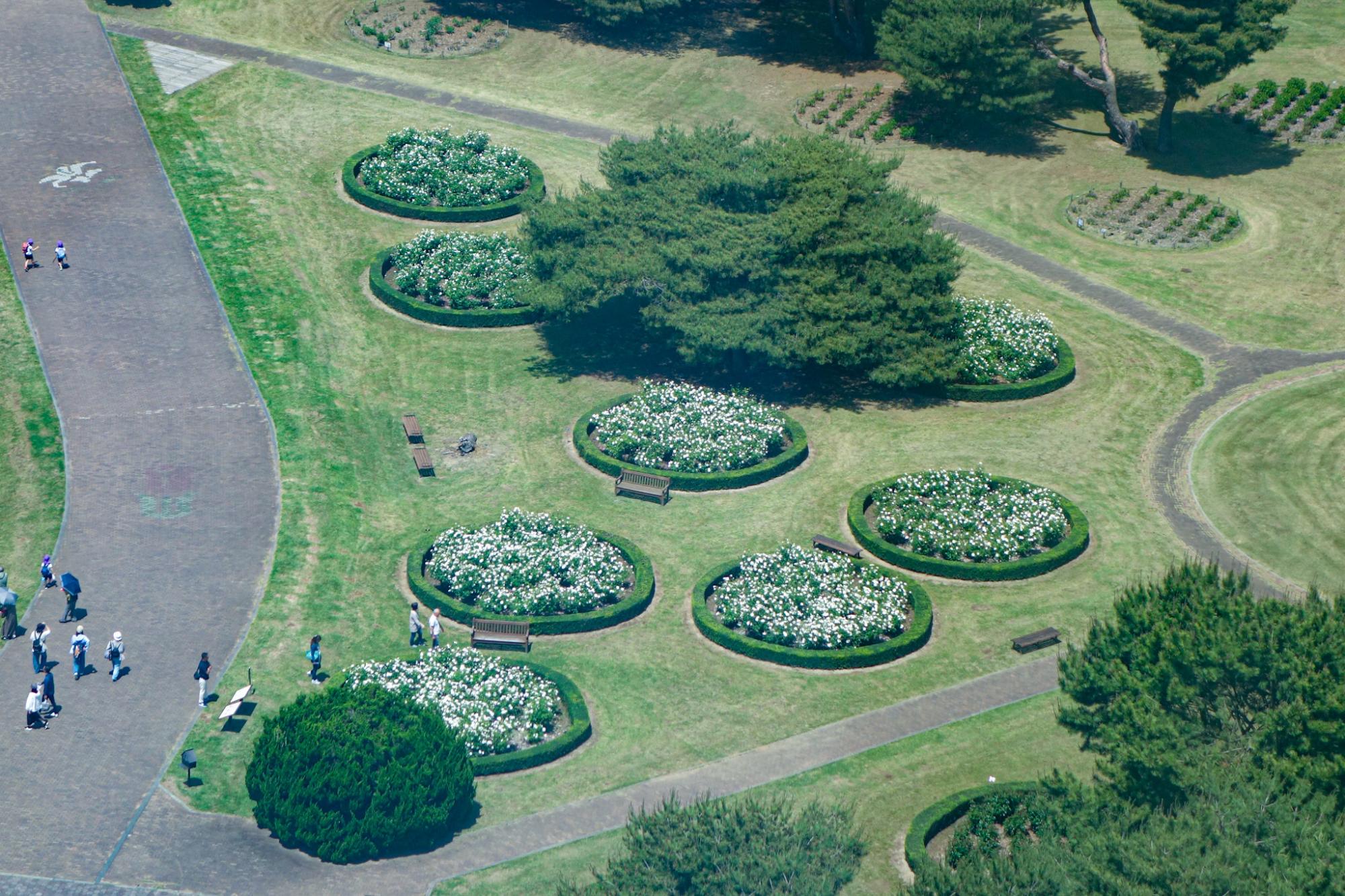 大観覧車より撮影