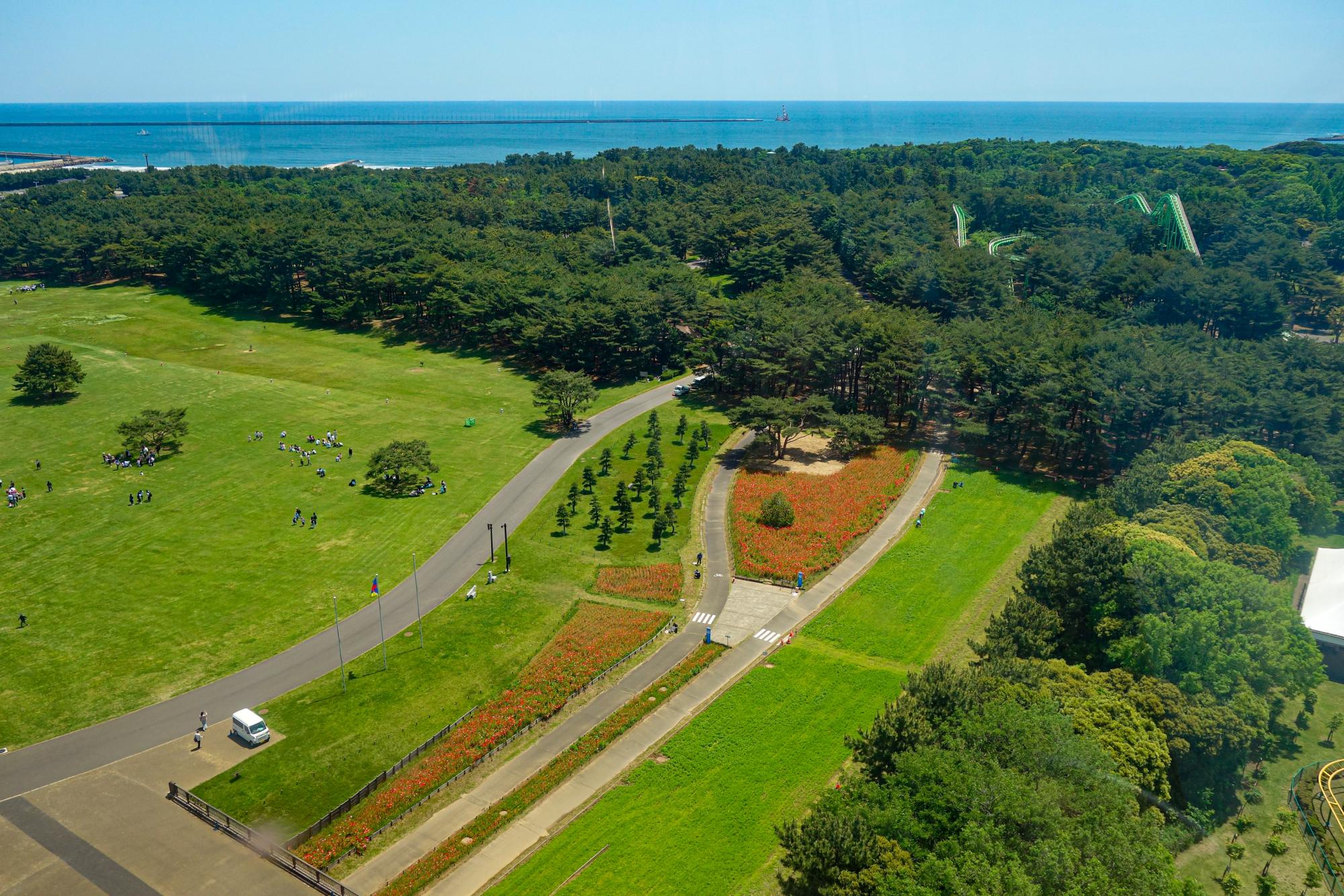 大観覧車より撮影