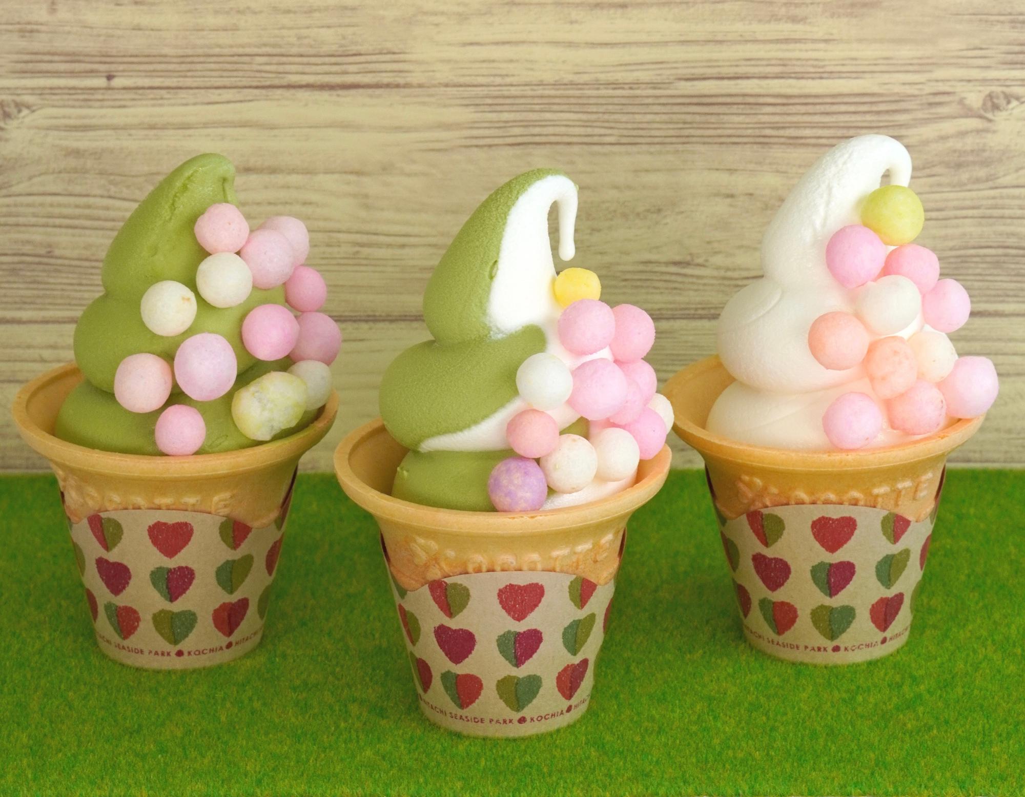 まるころグリーンコキアソフト(画像提供:国営ひたち海浜公園)