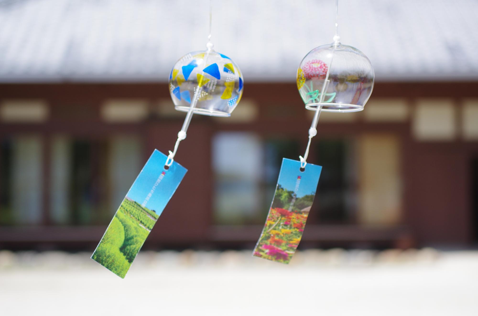 画像提供:国営ひたち海浜公園