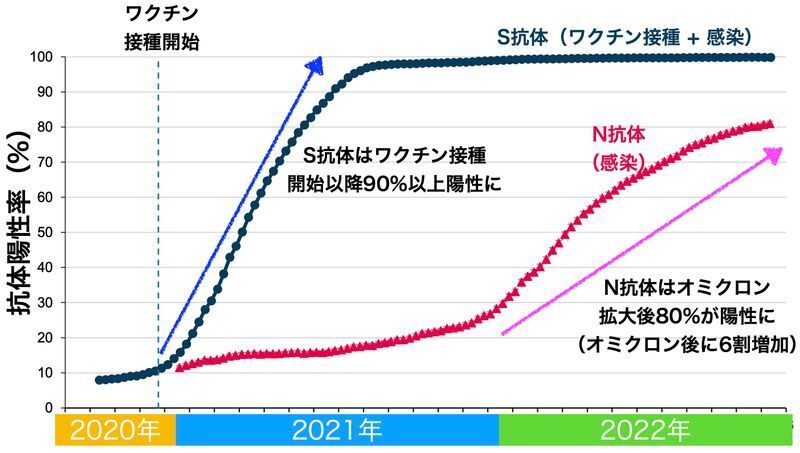 イギリスにおけるS抗体およびN抗体の推移（UKSHA. COVID-19 vaccine surveillance report Week 48 1 December 2022より）