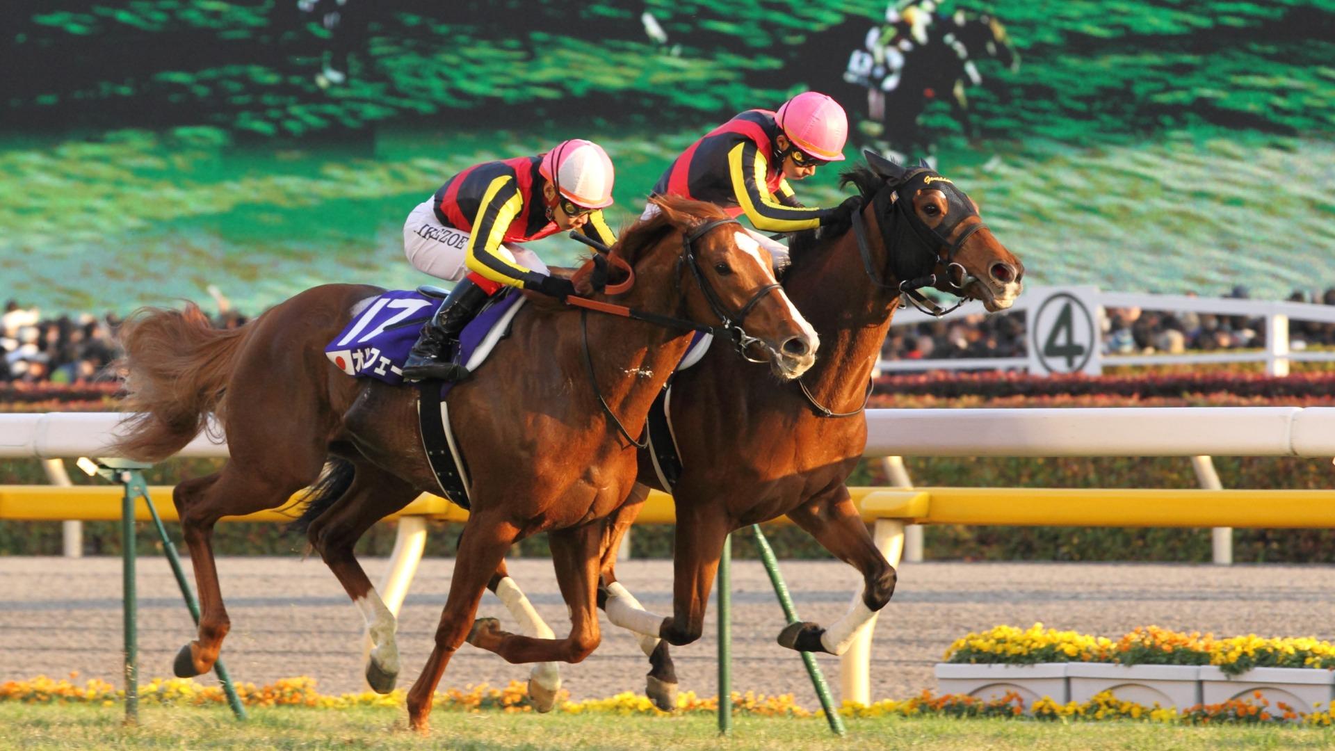 ジェンティルドンナ、繁殖牝馬を引退 功労馬として余生を過ごす